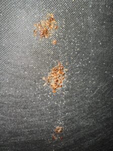 PHOTO-2024-10-27-21-29-48