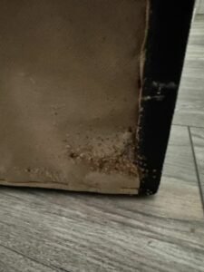 PHOTO-2024-10-27-21-37-45