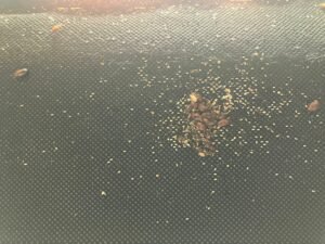 PHOTO-2024-10-27-21-37-53