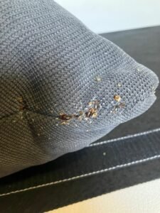 PHOTO-2024-10-27-21-43-45 3